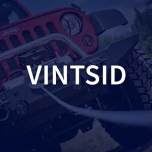 Vintsid